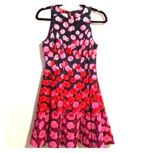 Laggy London Petites Fit & Flare Dress